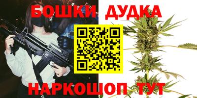 индика Тула