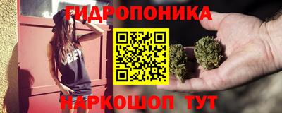 индика Тула